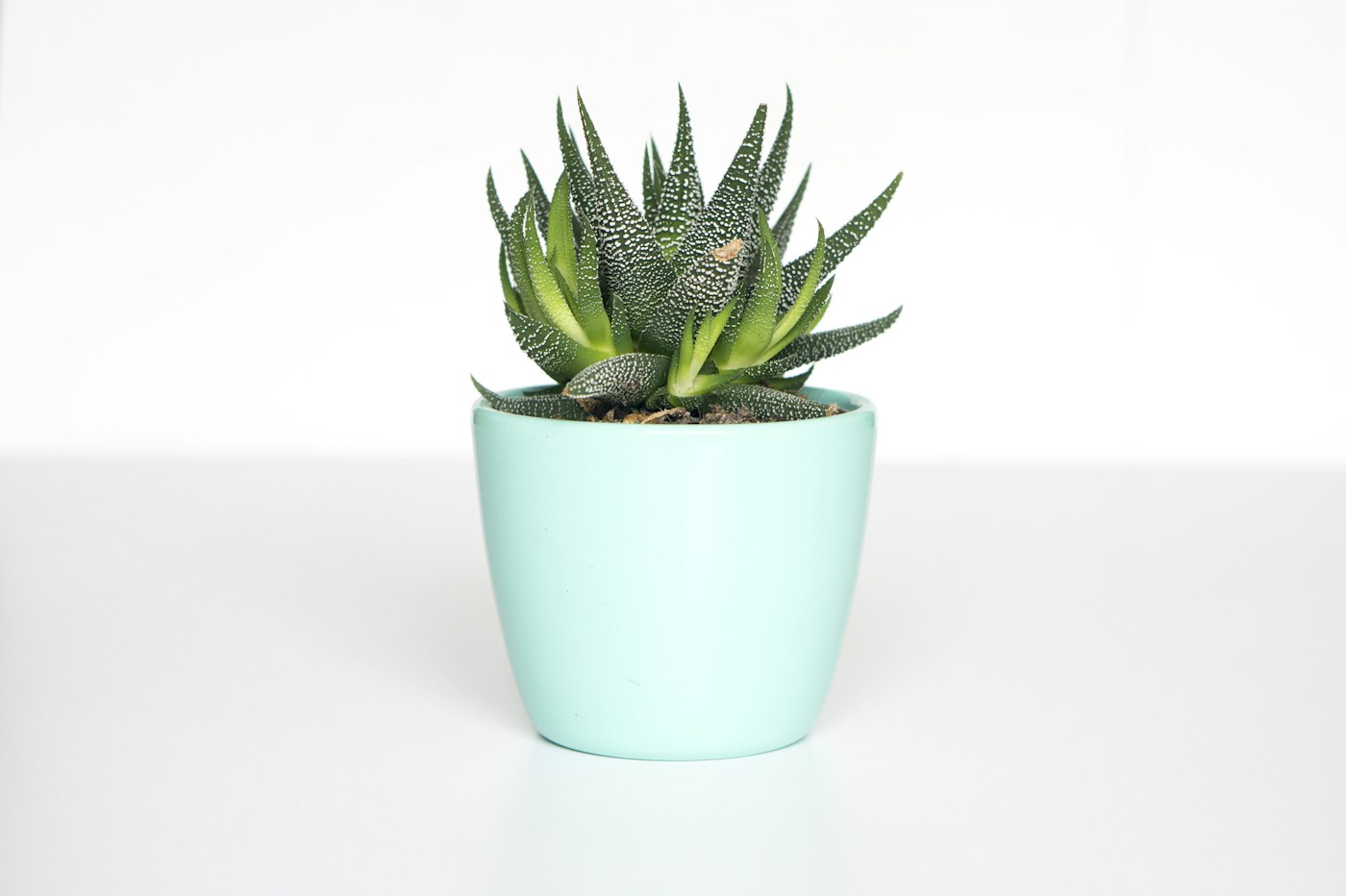 Potten